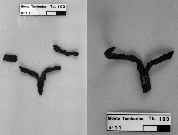 cimasa di candelabro in ferro prima del restauro